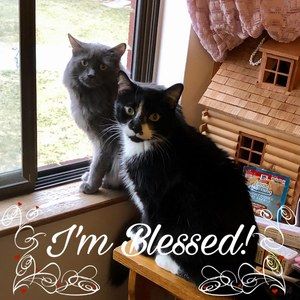 Meet your Posher, Jo